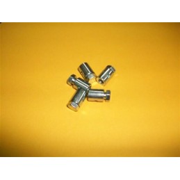 Perrillo Prisionero 8 mm